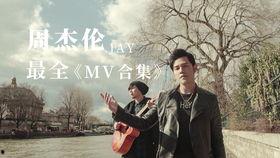 小董近日爆料视频大全集,揭秘娱乐圈幕后真相