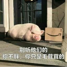 娱乐吃瓜酱猪猪视频下载,揭秘热门娱乐内容获取新方式 第1张 娱乐吃瓜酱猪猪视频下载,揭秘热门娱乐内容获取新方式 第1张