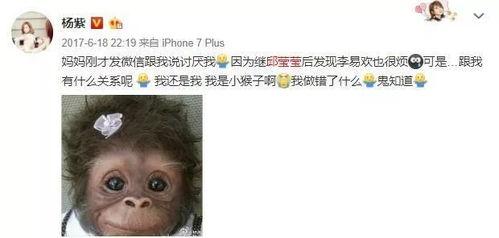 理智吃瓜娱乐,揭秘娱乐圈背后的真实故事  第3张